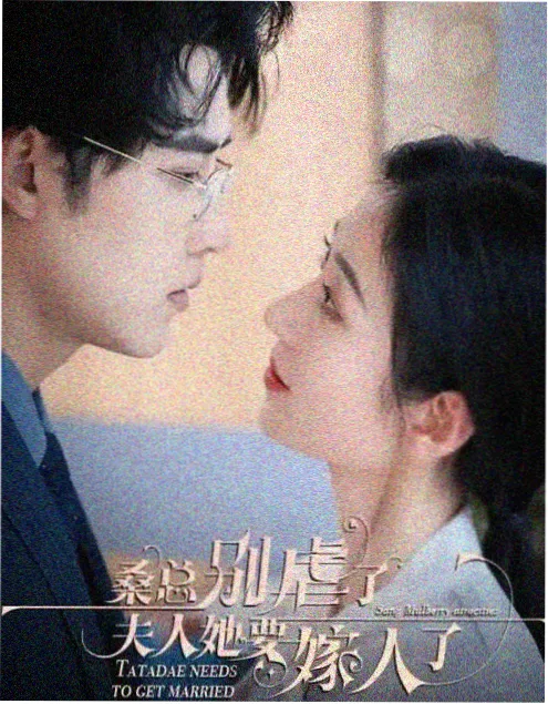蜜桃影视在线观看 第二十三条街 剧照